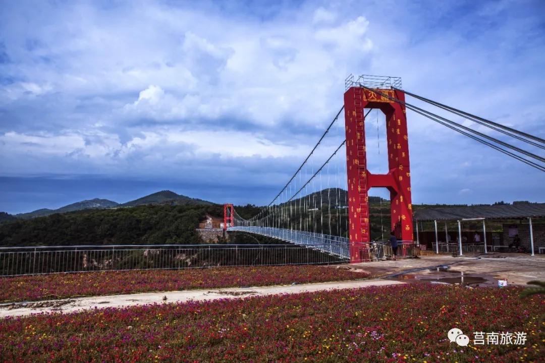 悦享莒南|惊艳了莒南蓝，温暖了遇见