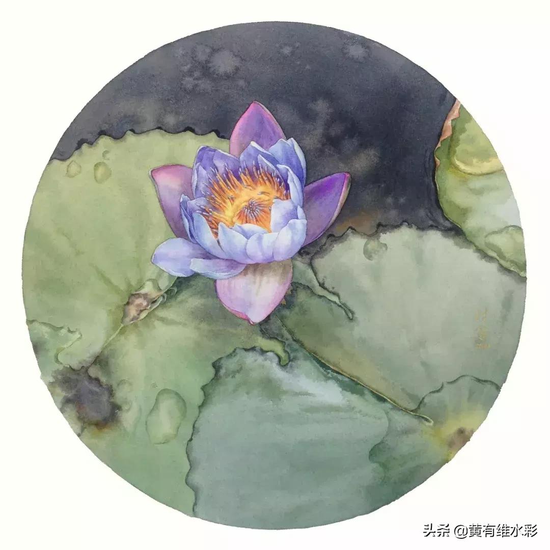 小清新水彩画玫瑰花,水彩画雨中玫瑰
