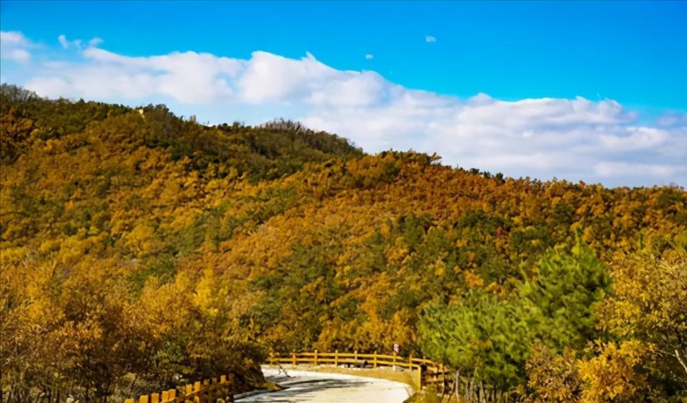 烟台旅游攻略蓬莱仙境,烟台葡萄酒城游览