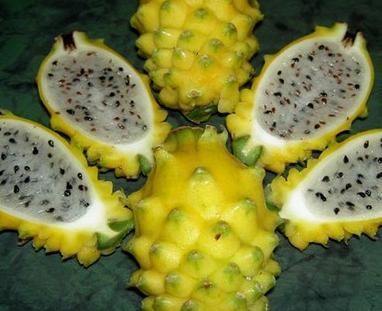 十大土豪水果排名,这些水果吃过5种以上的是土豪