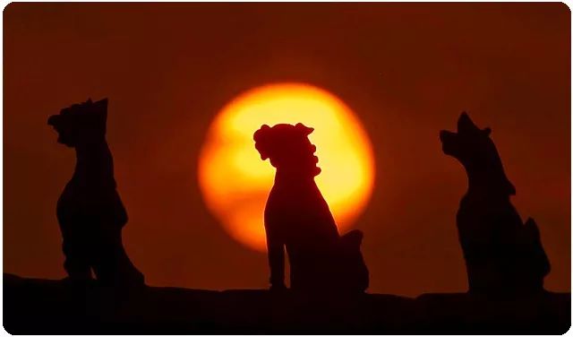 顶级企业家都是怎么起家的,中国第一集团简介