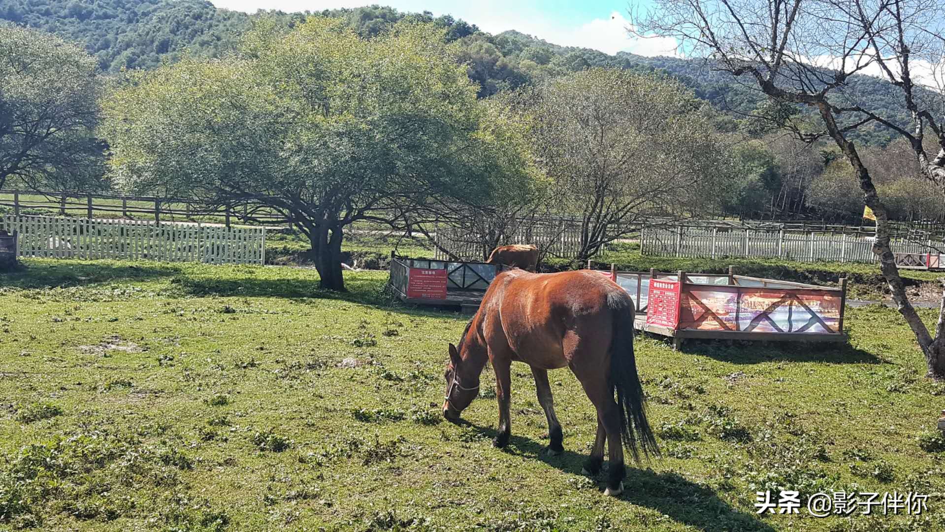 宝鸡大水川,宝鸡大水川好不好玩