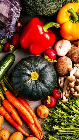 2023农村创业致富项目大全,2023年农村创业赚钱项目