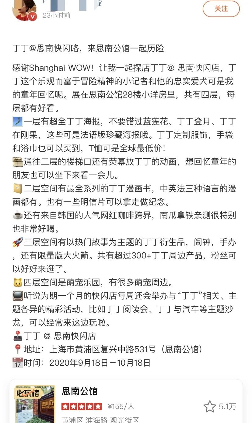 宠爱新开业,丁丁快闪店最新消息