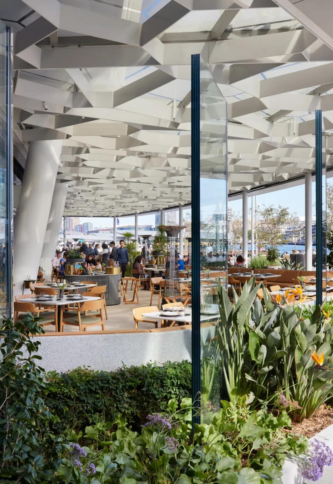 悉尼摩天建筑,澳大利亚的最高摩天楼