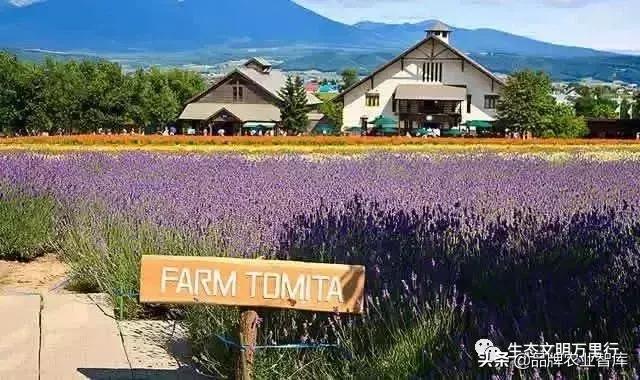 变态的日本农业：敬畏自然、超前思维、死磕单品！