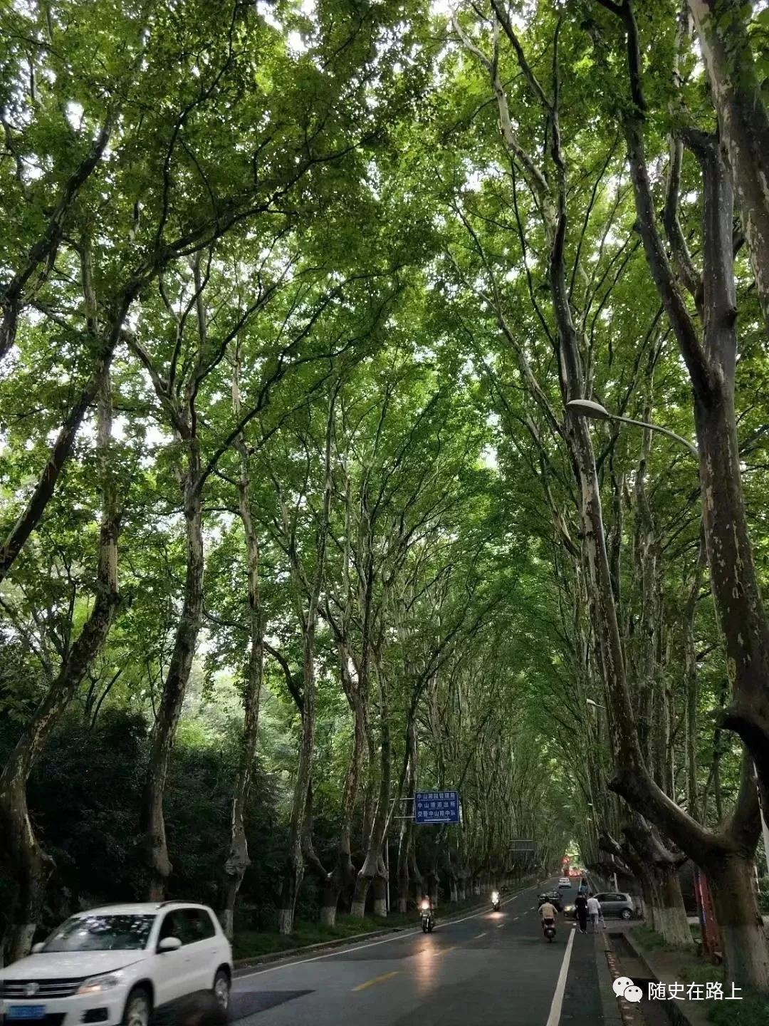 我有一个心愿叫金陵