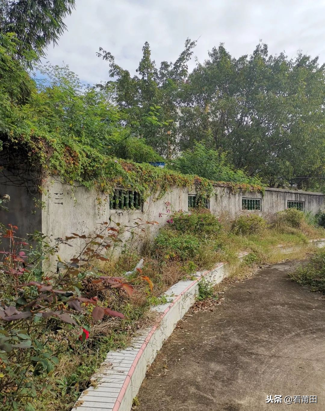莆田快乐农庄以前的样子,莆田快乐农庄建什么