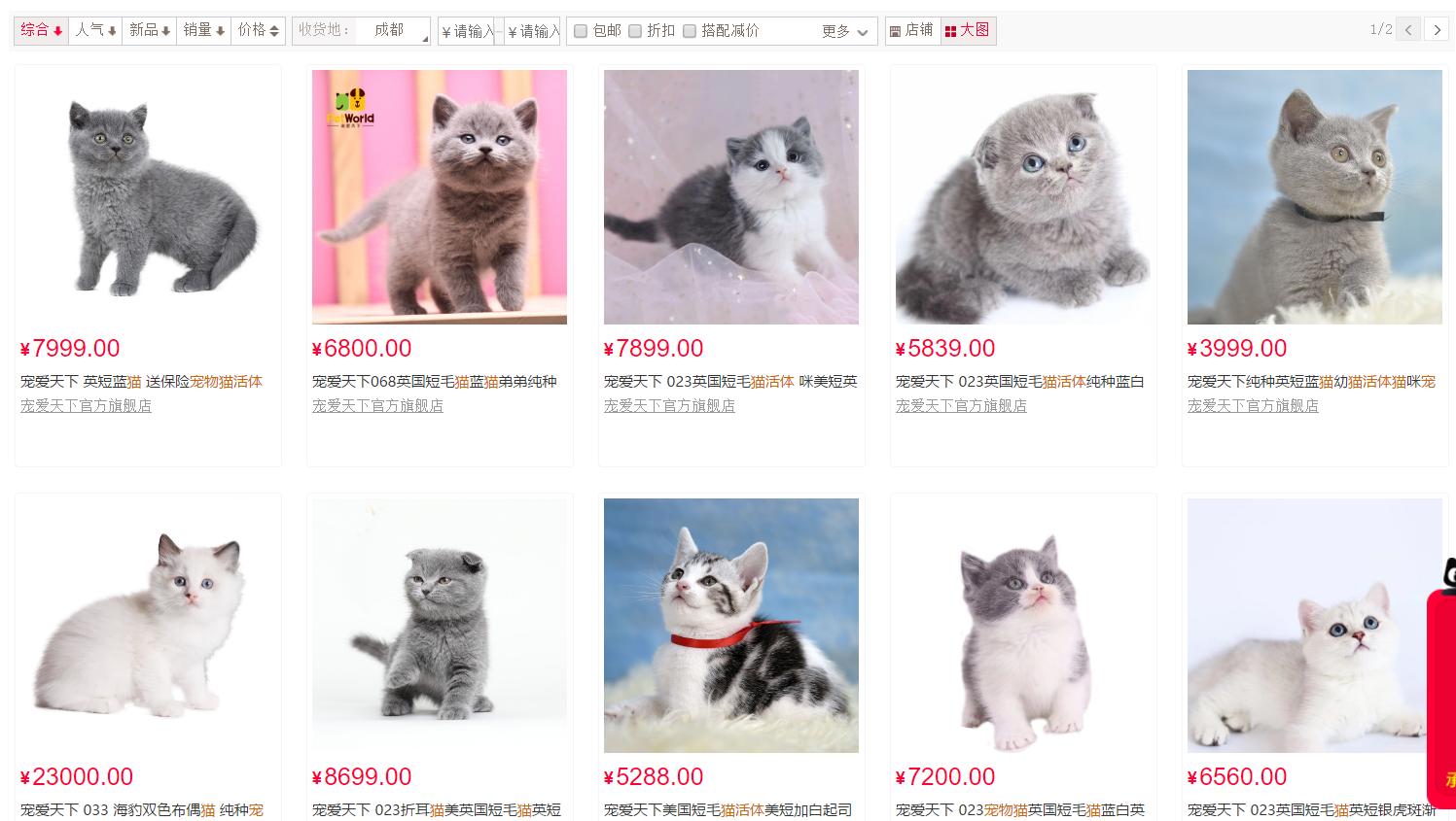 怎么防买到星期猫,如何避免在市场买到星期猫