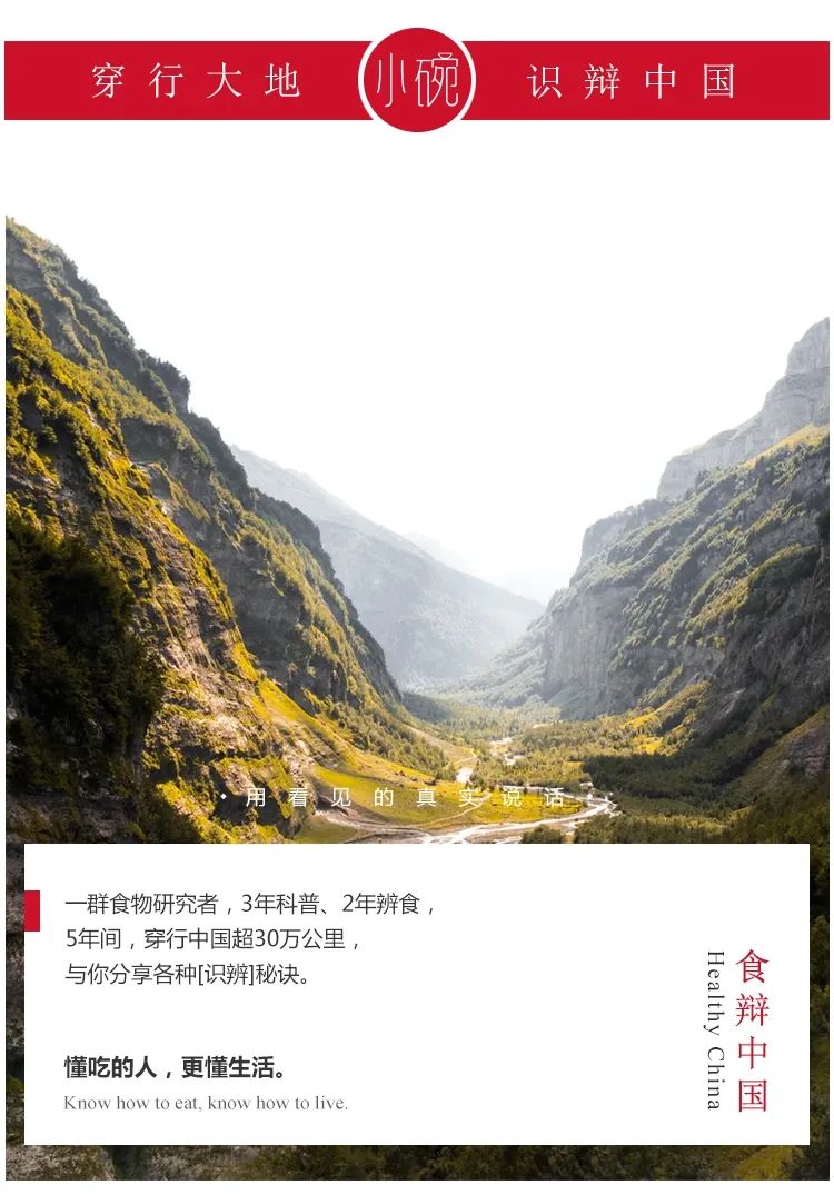 晚餐吃什么不会胖反而会瘦,越吃越胖的晚餐吃什么减肥