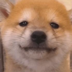 恋足癖遇到香港脚,会产生怎样的火花呢