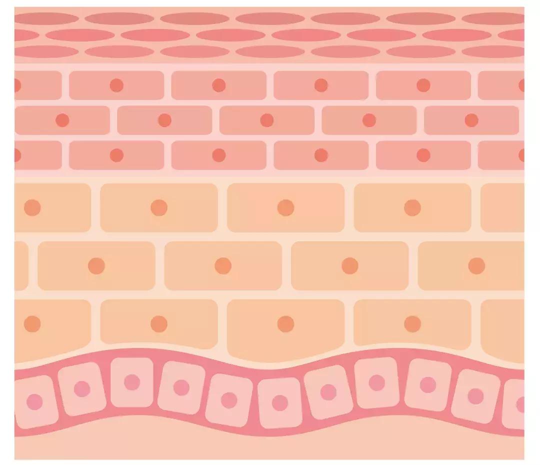 脸皮厚得像城墙的人素质怎么样,脸皮必须比城墙要厚