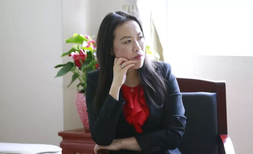 打造粤港澳大湾区教育和人才高地,粤港澳大湾区打造教育与人才高地