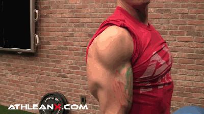 家里只有哑铃怎么练背,家里只有哑铃怎么锻炼