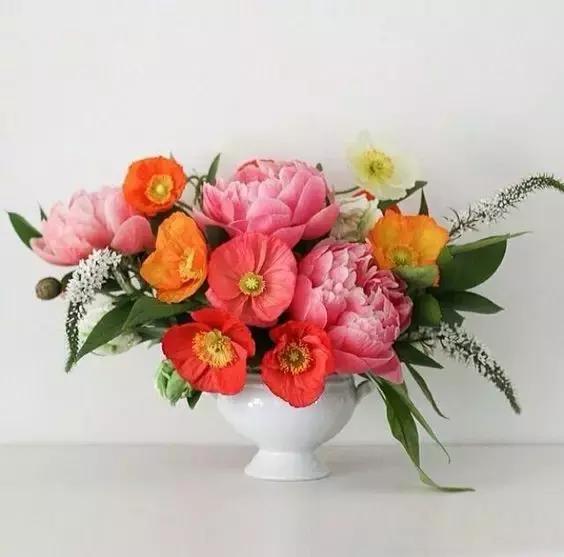 蒲公英插花技巧,小瓶口插花技巧