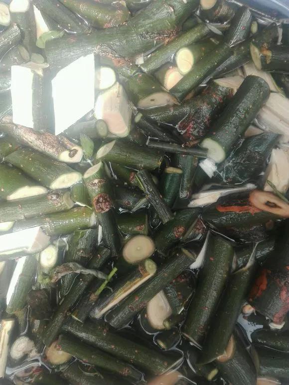 已经腐烂的柳树皮养花怎样用,柳树皮直接放盆土养花