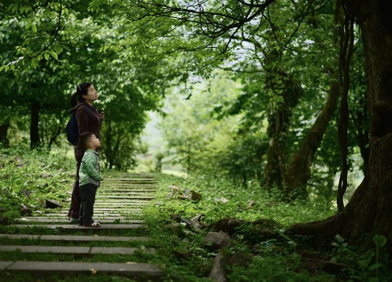 孩子不说学校的事是怎么回事,孩子不说学校的事情怎么沟通管理