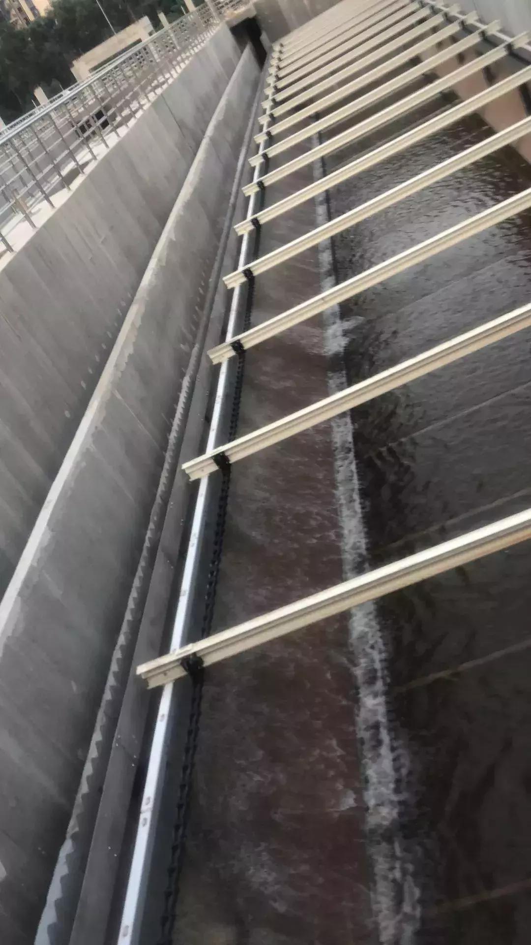 光明这些河流又有新变化,多个好消息密集来报~