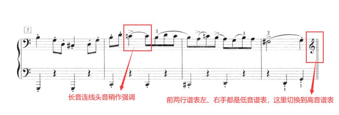 考级详解|央院《猫主题》考点全解析！