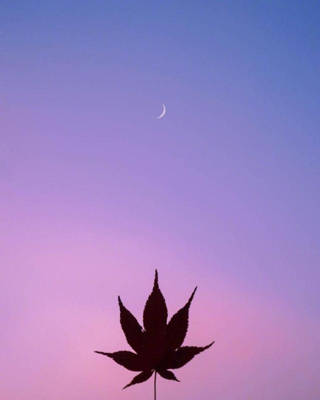 人生的格言句句精辟,最精辟的人生格言句句经典