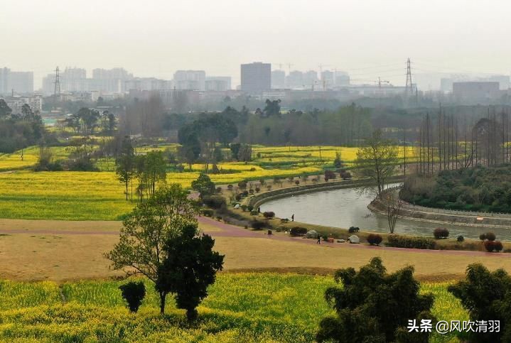 郫都区位于成都的哪个地方,成都郫都最穷的地方是哪里