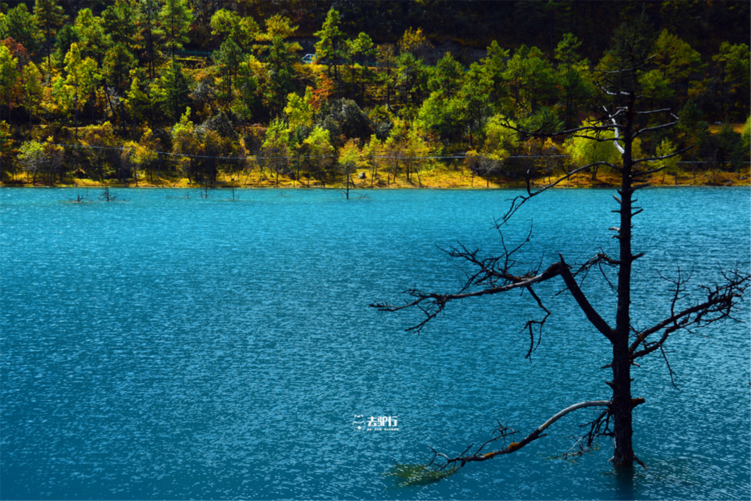 丽江小九寨沟风景区,夏日避暑旅游推荐九寨沟
