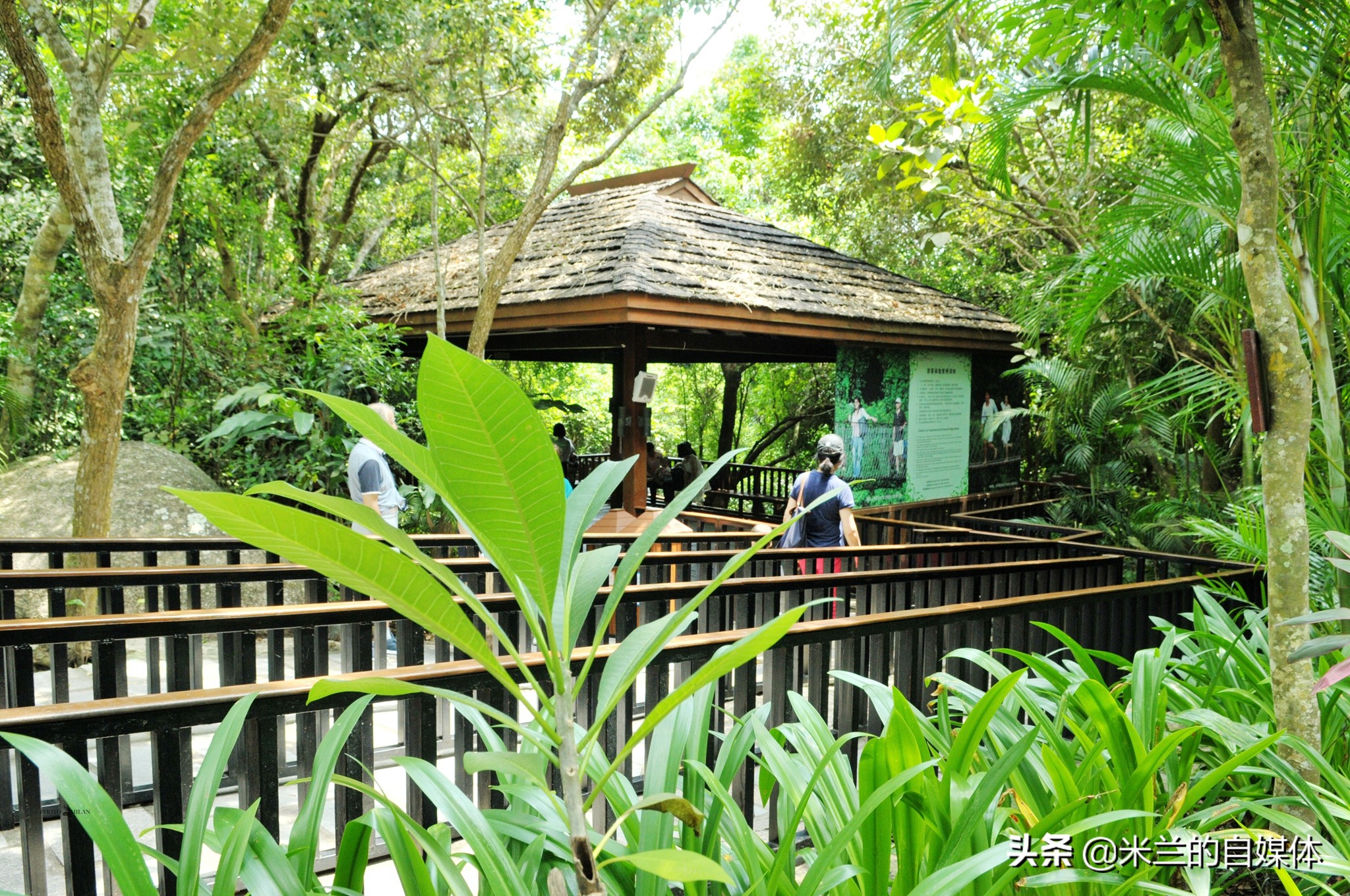 三亚旅游攻略美食推荐,三亚旅游美食攻略自由行