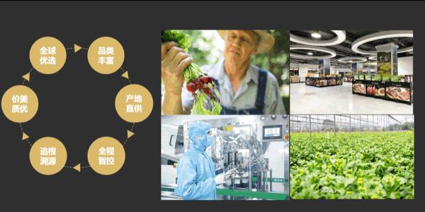 佛山上半年增长的行业,佛山最火爆行业