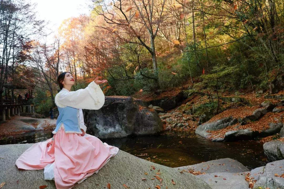 这款小LED灯火了！为何它是摄影师的最爱？