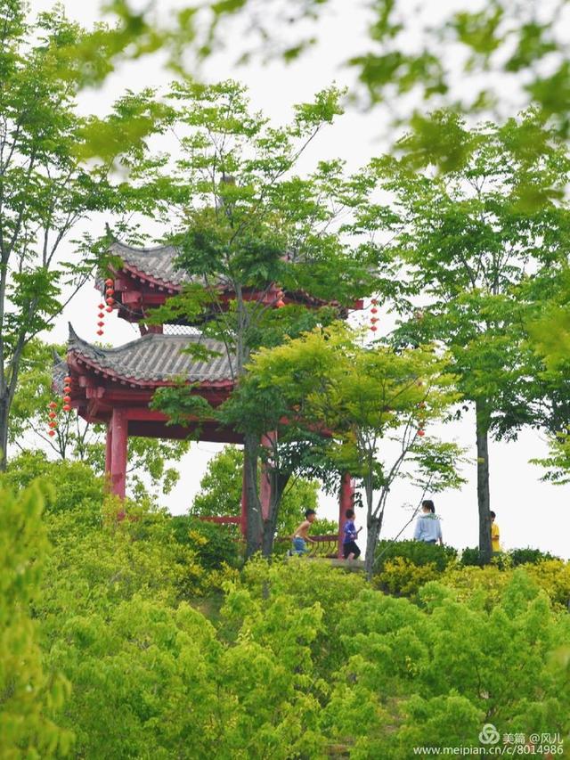 大美新蔡生态水城,大美新蔡等你来