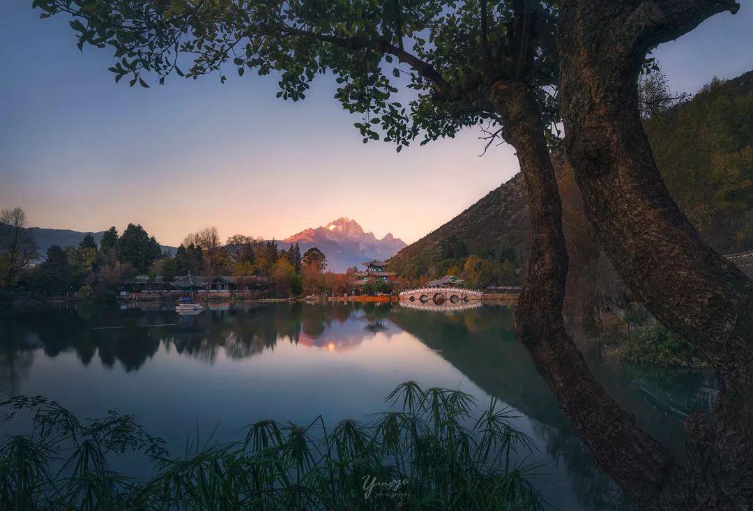 影叶：我就这样走上了摄影之路