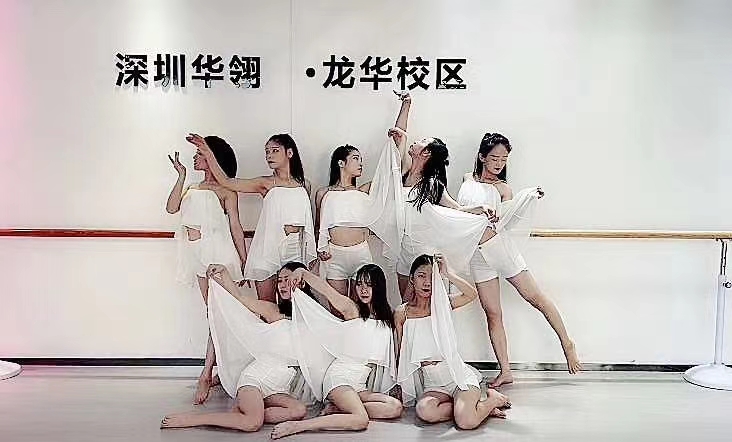 深圳哪里有成人舞蹈培训学校,深圳哪里有舞蹈培训班