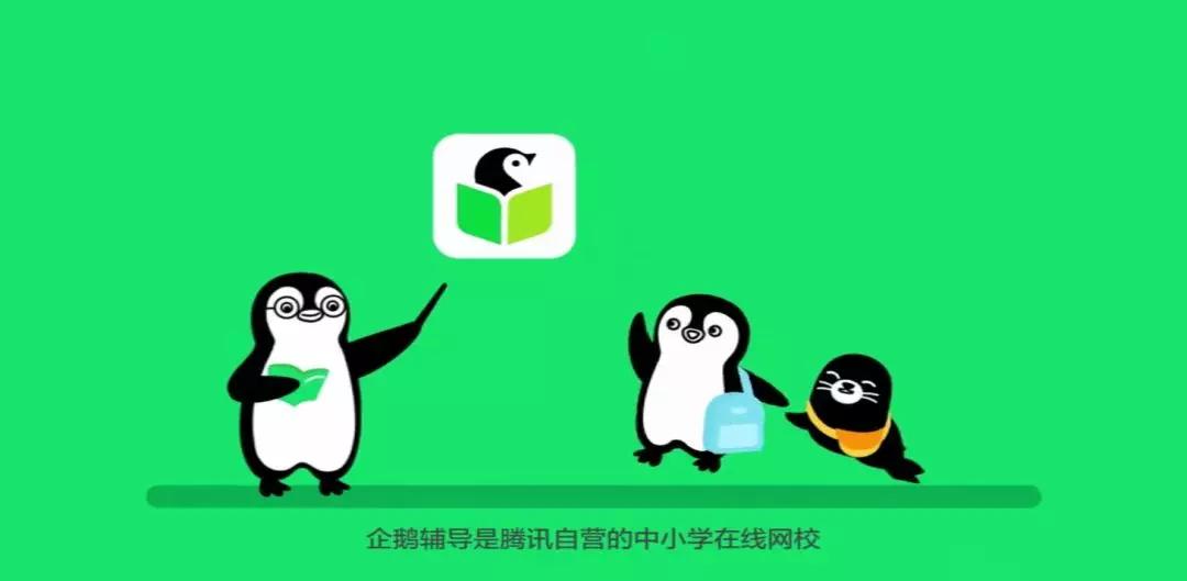 爱选课丨有腾讯背景的企鹅辅导怎么样？瞐瞐为您带来评测