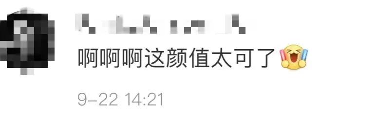 圣斗士星矢主角人物介绍,圣斗士星矢真人人物