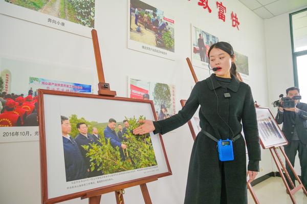 昔日的荒山早已变成了金山银山,昔日荒山变金山