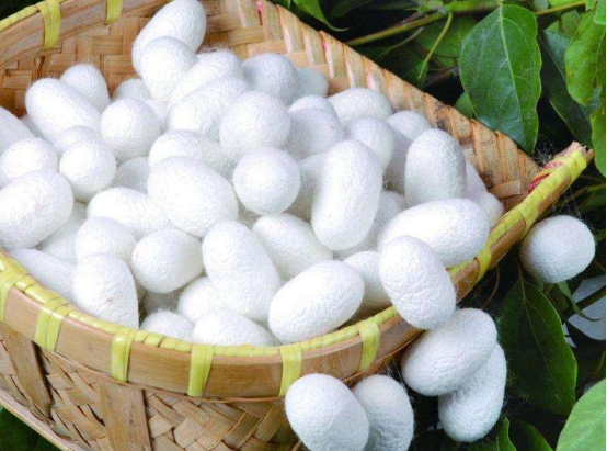 真丝为什么这么贵,真的真丝和假真丝的区别