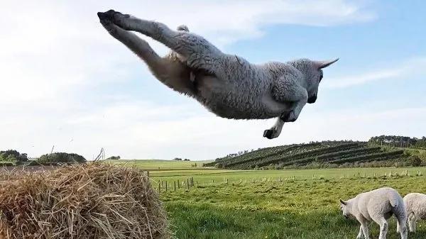 中奖2个亿图片,中奖35元吃火锅