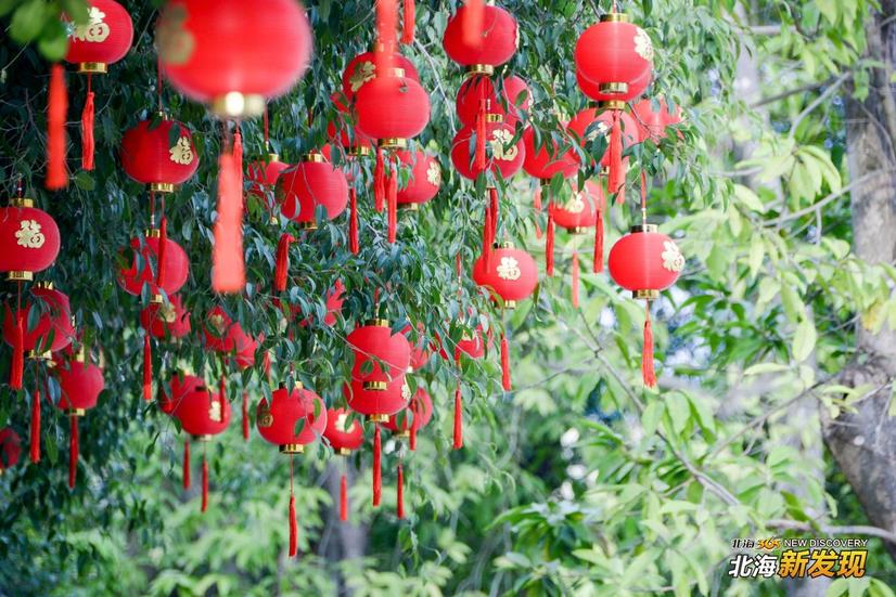 【北海新发现NO72】全城飘红,北海的年味一直都在
