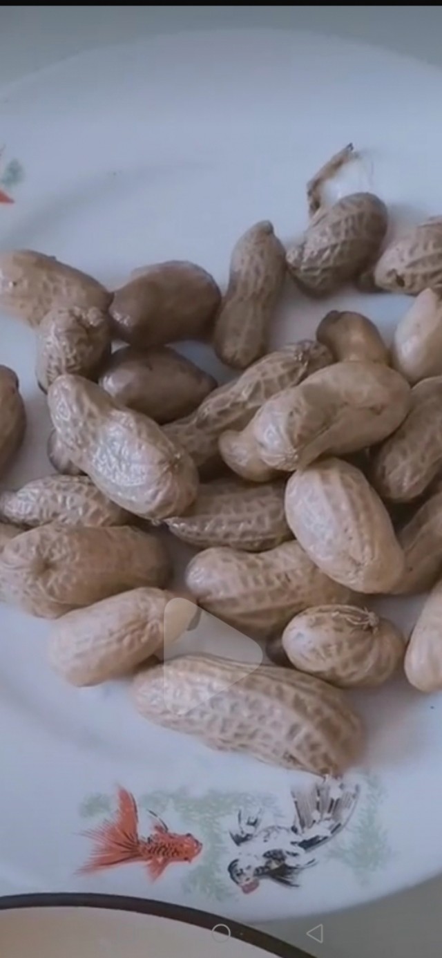 减肥午餐食谱做法最简单有几种,减肥食谱鱼怎么做好吃