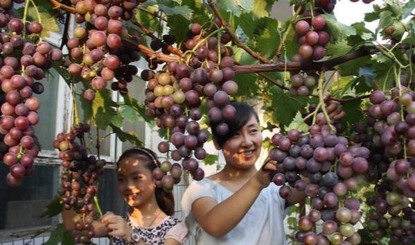 混凝土屋面夏天怎么降温,农村院子铺混凝土怎么降温