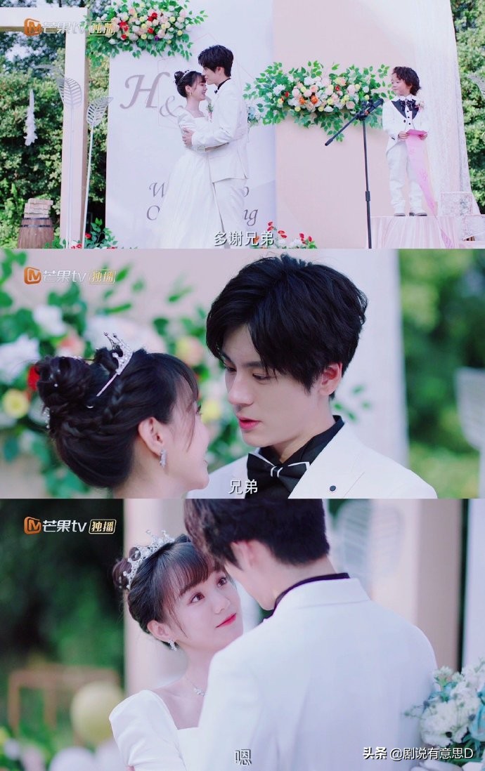 贺先生的恋恋不忘百科,一口气带你看完贺先生的恋恋不忘