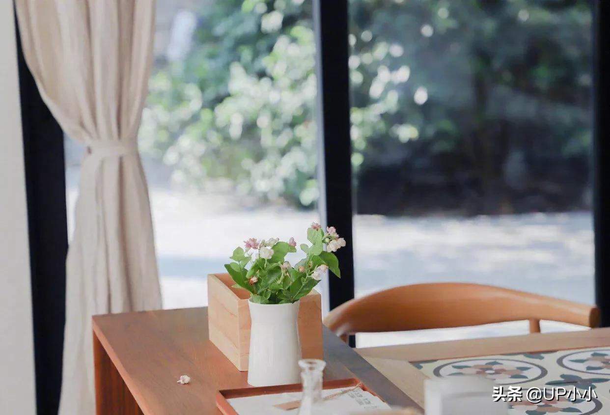 关于品牌思维助力产品和运营的思考