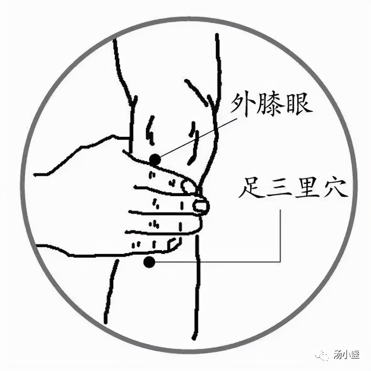 妊娠期呕吐严重怎么缓解,妊娠期母猪频繁呕吐