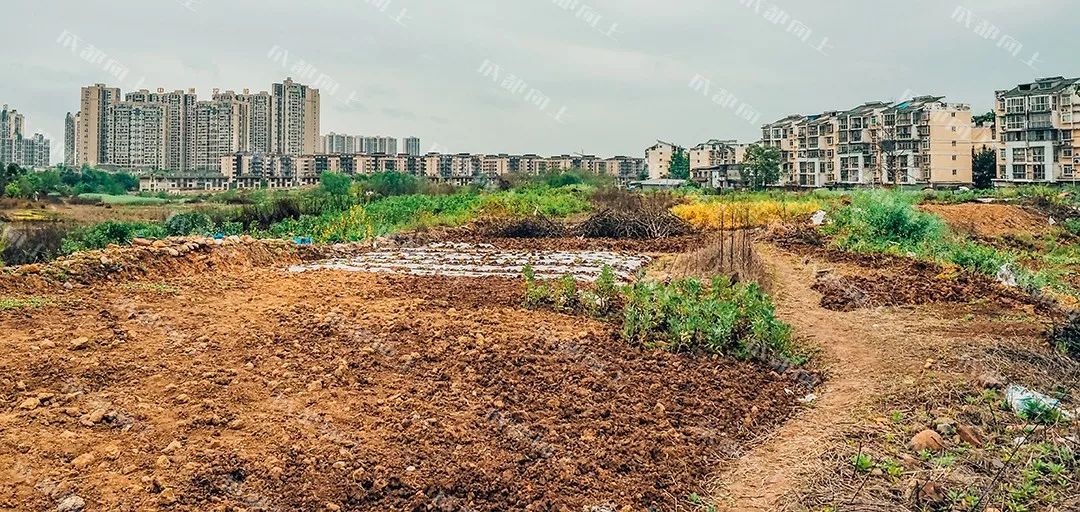 城北198：好与坏都让人“惊叹”