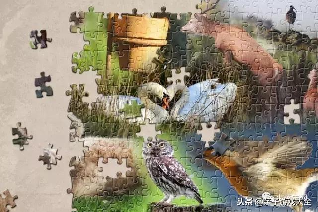 带孩子玩什么拼图比较好,0-3岁拼图全攻略一篇搞定