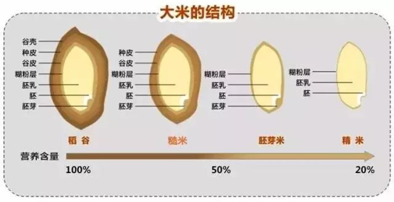 米字趣事：王粲被称作王米，米花为什么是酒曲，粥为什么有两把弓