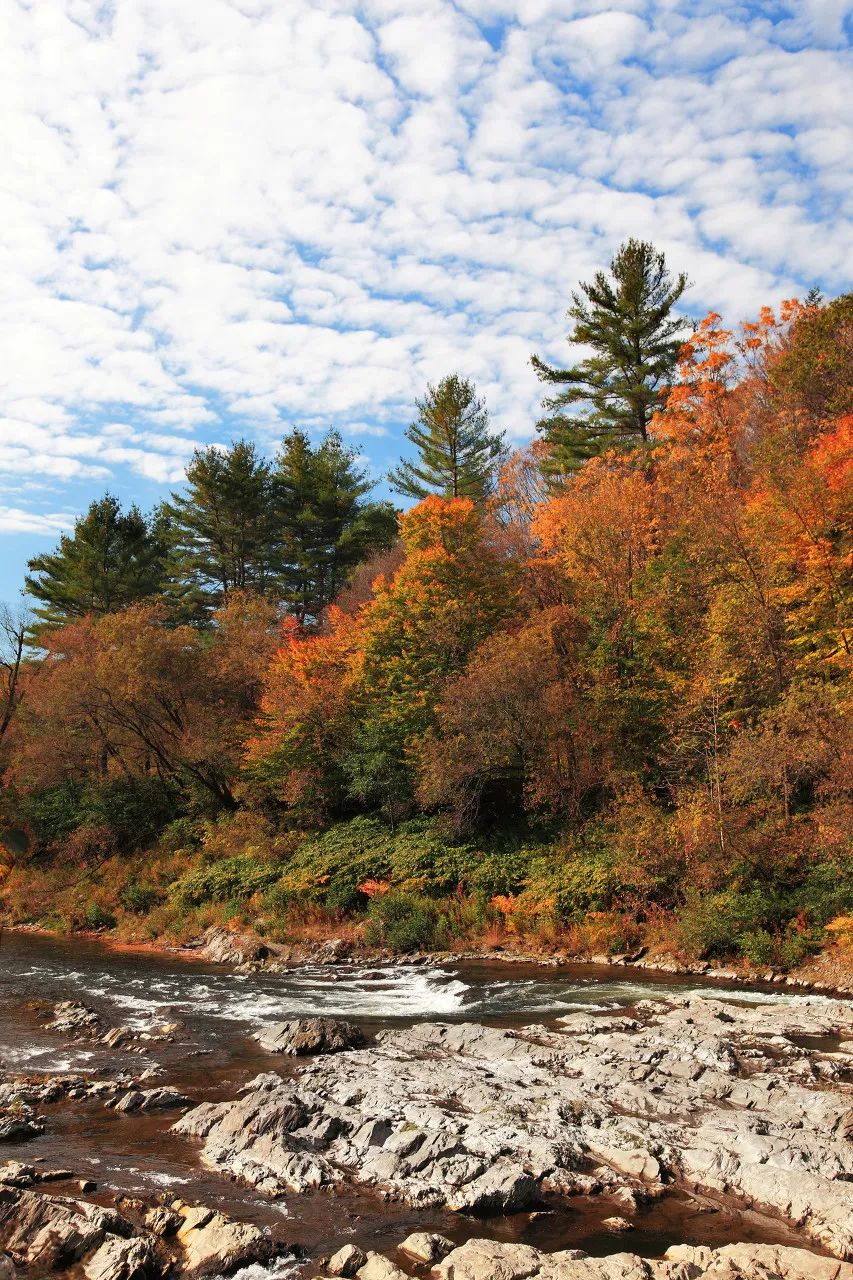 宅家封印解除,漫长的宅家封印解除