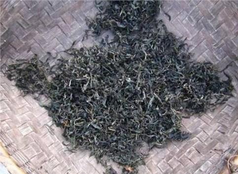 蚊子克星夏天外出必备,蚊子最怕的老窝