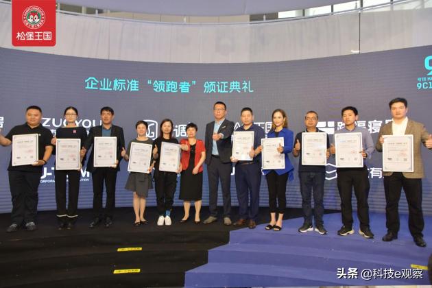 殊荣双至!松堡王国品质实力再获权威认可