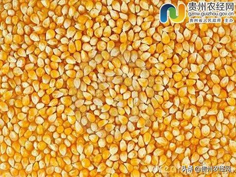 湖北省优质农产品产销对接会,产销对接蔬菜直供超市